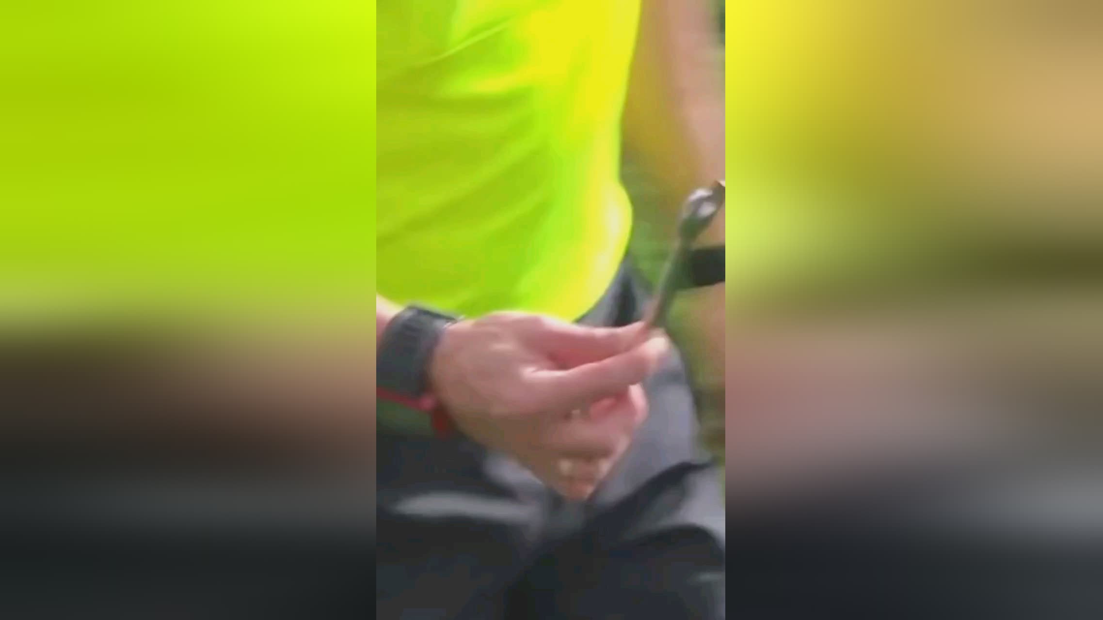 体力储备